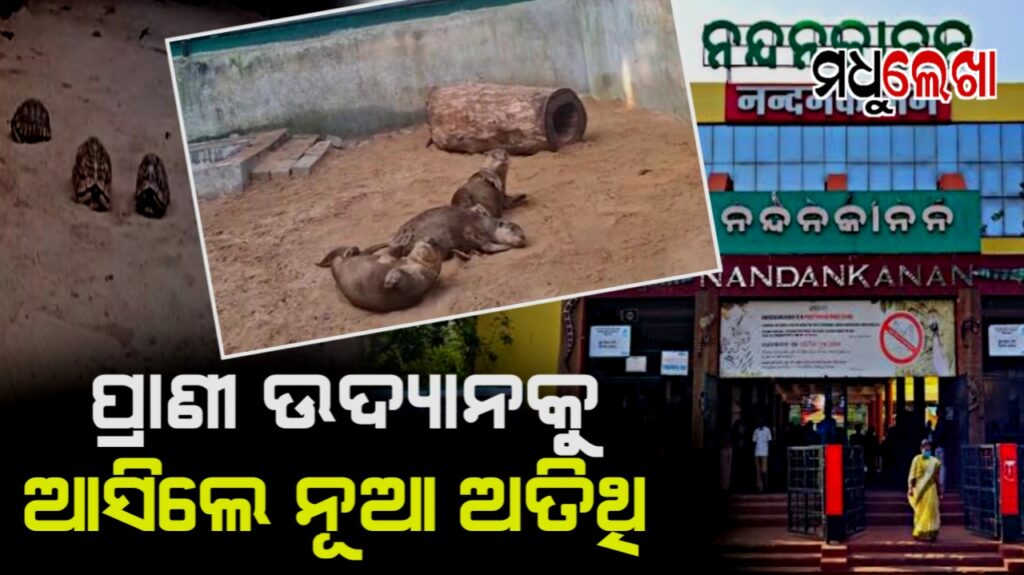 ନନ୍ଦନକାନନକୁ ଅଦଳବଦଳ ପ୍ରକ୍ରିୟାରେ ଆସିଲେ ୪ ପ୍ରଜାତିର ୧୯ ଜୀବଜନ୍ତୁ
