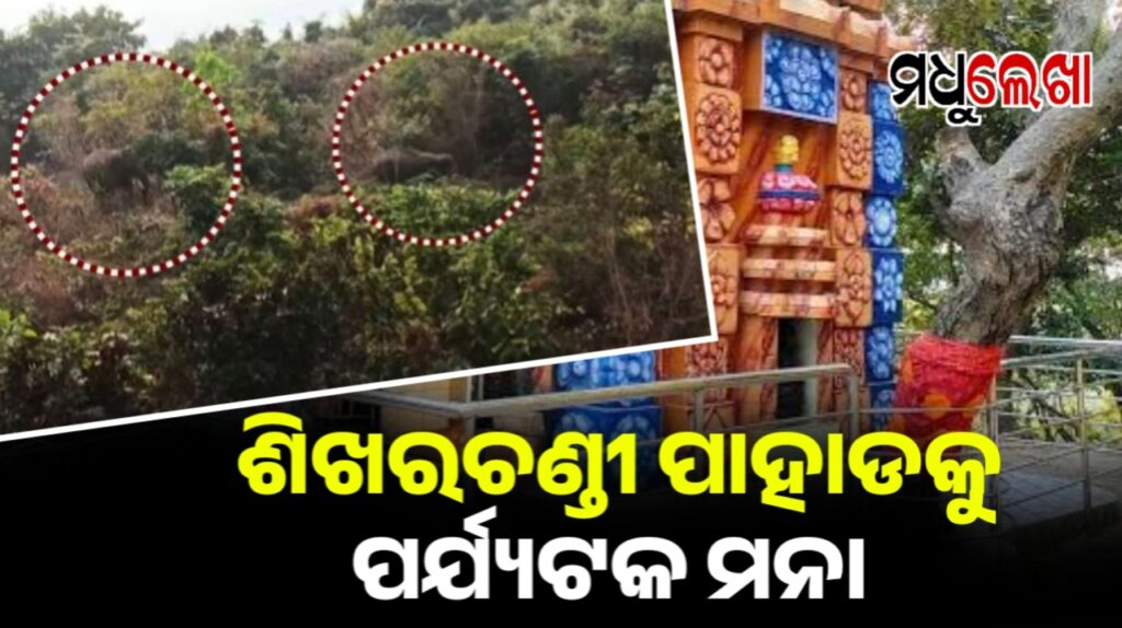 ଶିଖରଚଣ୍ଡୀ ପାହାଡ଼କୁ ପର୍ଯ୍ୟଟକ ମନା । ଅଙ୍କୁଶ ଲଗାଇଲା ବନ ବିଭାଗ