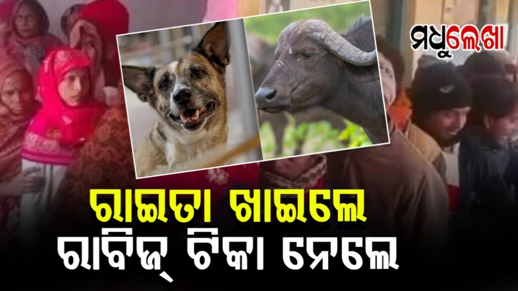 ଭୋଜିରେ ରାଇତା ଖାଇ ହଟହଟା; ରାବିଜ୍ ଟୀକା ନେବାକୁ ହସ୍ପିଟାଲ୍ ଦୌଡିଲେ ପୁରା ଗ୍ରାମବାସୀ
