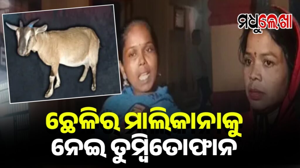 ଥାନାରେ ଏକ ଛେଳିର ମାଲିକାନାକୁ ନେଇ ତୁମ୍ବିତୋଫାନ