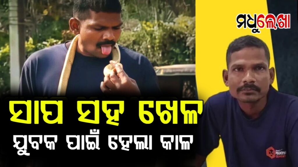 ସାପକୁ ଧରି ବାହାଦୁରୀ ମାରୁଥିଲେ, ଦେଲା ଚୋଟେ