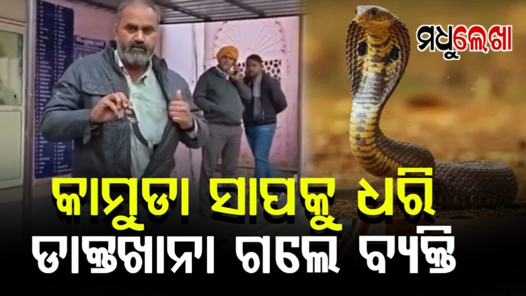 ସାପ ପକେଟରେ ପୂରାଇ ମେଡିକାଲ ଗଲେ ଇ-ରିକ୍ସା ଚାଳକ, ଛାନିଆ ହୋଇଗଲେ ଡାକ୍ତର