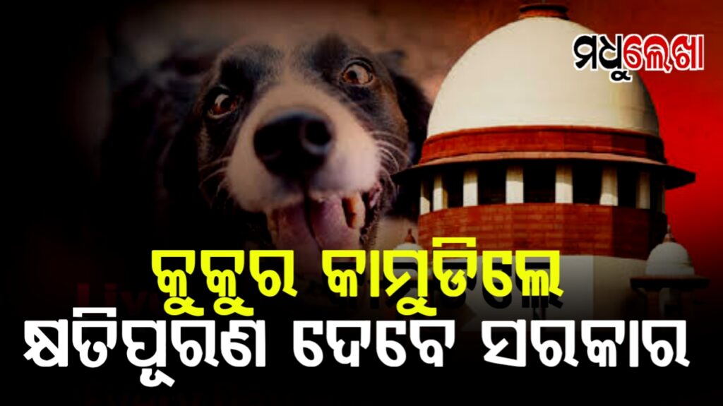 ବୁଲା କୁକୁର କାମୁ଼ଡାରେ ମୃତ୍ୟୁ ଘଟିଲେ ରାଜ୍ୟ ସରକାରଙ୍କୁ କ୍ଷତିପୂରଣ ଦେବାକୁ ପଡିବ-ସୁପ୍ରିମ କୋର୍ଟ