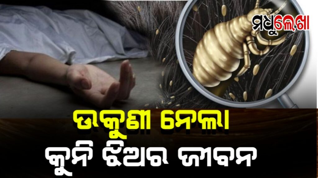 ଉକୁଣୀ ନେଲା କୁନି ଝିଅର ଜୀବନ