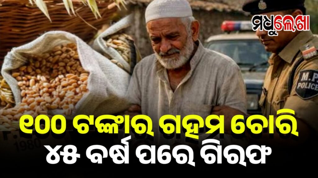 ୧୦୦ ଟଙ୍କାର ଗହମ ଚୋରି ପାଇଁ ୪୫ ବର୍ଷ ପରେ ଧରା ପଡିଲା ଚୋର