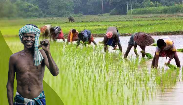 ଆଉ ରହିବନି ଗୁରୁତ୍ୱପୂର୍ଣ୍ଣ ତଥ୍ୟ ହଜିବାର ଚିନ୍ତା । କମିବ ଦୁର୍ନୀତି, ଆସିବ ସ୍ୱଚ୍ଛତା