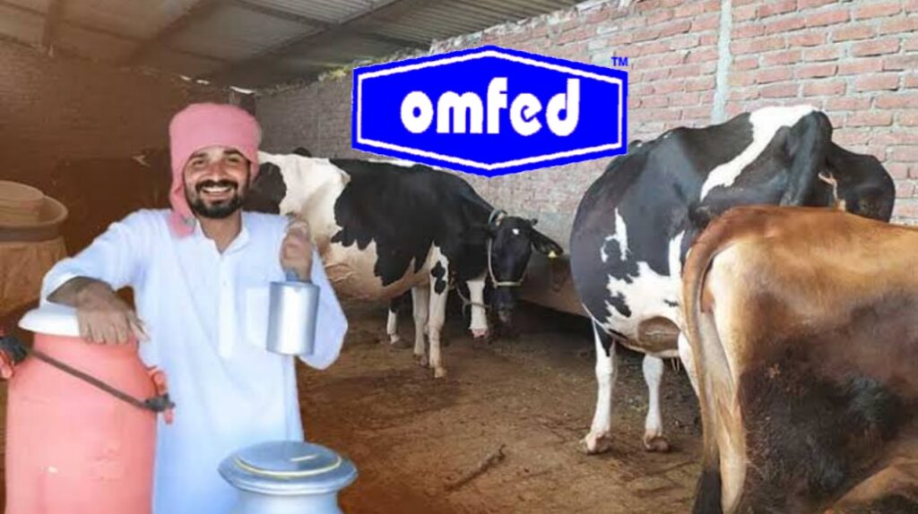 ଓମ୍ଫେଡ୍ ଦୁଗ୍ଧ ଚାଷୀଙ୍କୁ ମିଳିବ ଲିଟର ପିଛା ୧୦ ଟଙ୍କା