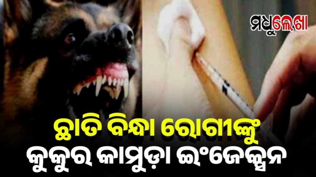 ଛାତି ବିନ୍ଧା ହେଉଥିଲା, ଦେଇ ଦେଲେ କୁକୁର କାମୁଡ଼ା ଇଂଜେକ୍ସନ