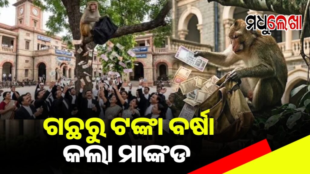 ନିମ୍ବ ଗଛରୁ ୫୦୦ଟଙ୍କିଆ ନୋଟ୍ ବର୍ଷା! ସୋସିଆଲ ମିଡିଆରେ ଭାଇରାଲ୍ ଭିଡିଓ