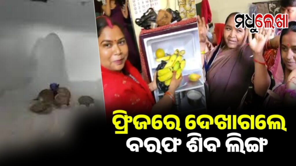 ଅମରନାଥରେ ବରଫ ତରଳିବା ପରେ ଫ୍ରିଜ୍ରେ ଦେଖାଗଲା ବରଫର ଶିବଲିଙ୍ଗ