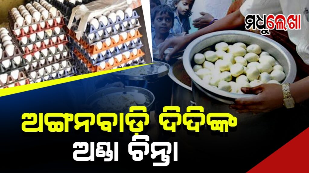 ଅଙ୍ଗନବାଡି ଦିଦିଙ୍କ ଅଣ୍ଡା ଚିନ୍ତା! ବଜାରରେ ୯ଟଙ୍କା, ପିଲାଙ୍କ ପାଇଁ ମିଳୁଛି ୭ଟଙ୍କା