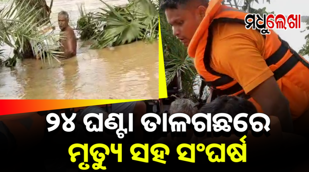୨୪ ଘଣ୍ଟା ତାଳଗଛ ଉପରେ ମୃତ୍ୟୁ ସହ ସଂଘର୍ଷ, ଚାଷୀଙ୍କୁ ଉଦ୍ଧାର କଲା ଓଡ୍ରାଫ୍