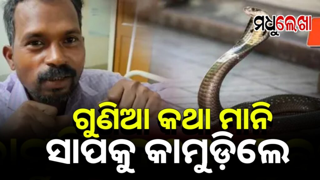 ଗୁଣିଆଙ୍କ କଥାରେ ବିଶ୍ୱାସ କରି ସାପକୁ କାମୁଡି ମାରିଦେଲେ ଯୁବକ