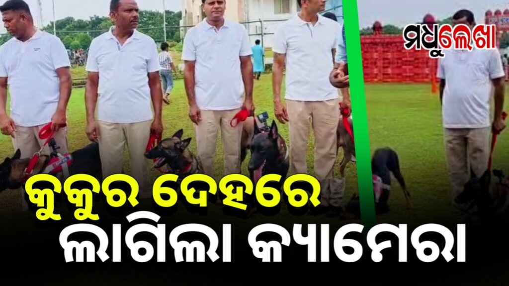 ରେଳ ସୁରକ୍ଷାରେ ନୂଆ ପଦକ୍ଷେପ :ଆରପିଏଫ୍ ଡଗ୍ ସ୍କ୍ୱାଡ୍ ଦେହରେ ଲାଗିଲା ଗୋ-ପ୍ରୋ କ୍ୟାମେରା