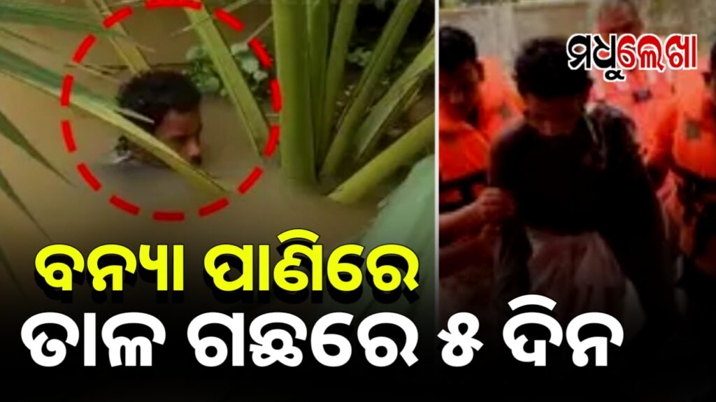 ବନ୍ୟାର ପ୍ରଖର ସୁଅରେ ଭାସି ଯାଇ ୫ ଦିନ ପରେ ତାଳ ଗଛରୁ ଉଦ୍ଧାର ହେଲେ ଯୁବକ